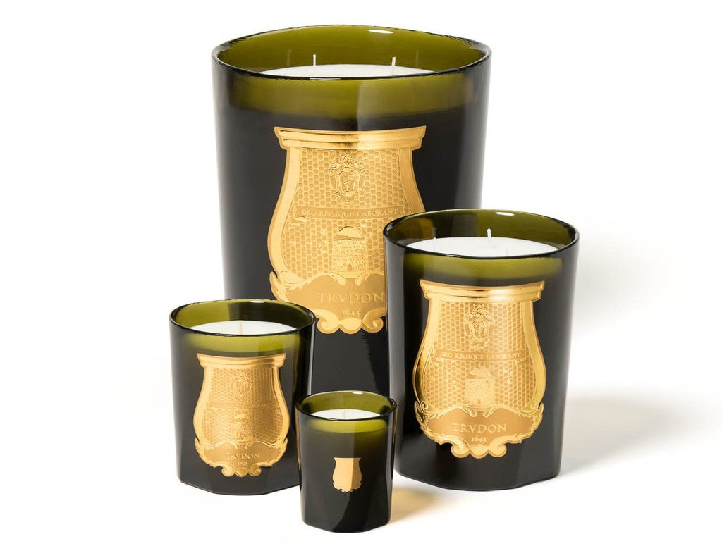 Decorative Candle, Ernesto (Leather & Tobacco) for Entryways, Mantels and Everyday Home Ambience image 4