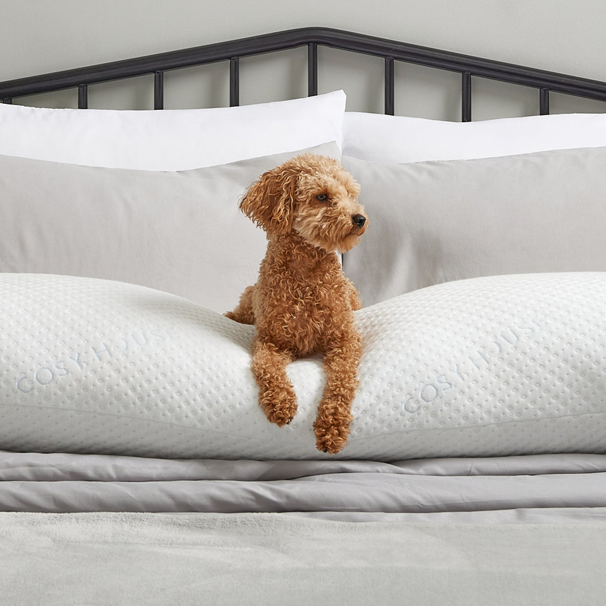 Bed Pillow, Body, Hypoallergenic Comfort for Everyday Sleep and Guest Room Bedding, Designed for Sleeping, Reading and Bedroom Comfort image 4