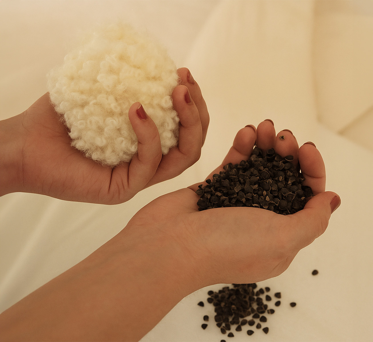 Bed Pillow, Hybrid : Natural Wool & Buckwheat, Organic Cotton Shell, Breathable Construction for Sleeping, Reading and Bedroom Comfort image 4
