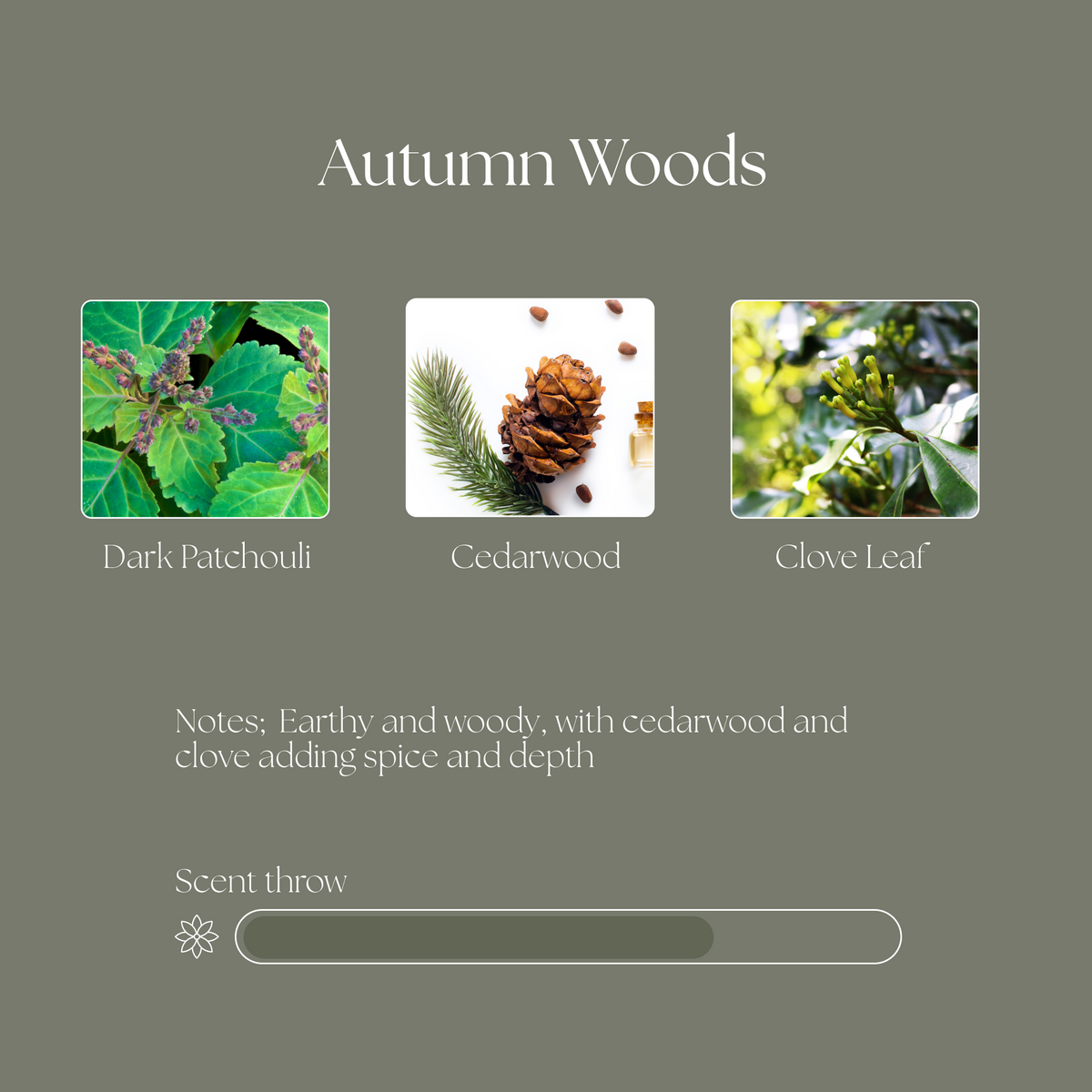 Decorative Candle, Autumn Woods Beeswax for Entryways, Mantels and Everyday Home Ambience, 2 Size Options image 4