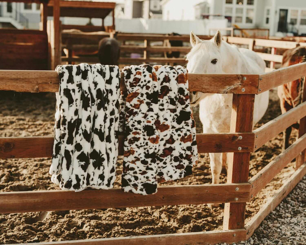 Cozy Throw Blanket, Hugs Brown Cow for Sofas, Beds and Relaxing at Home, 5 Sizes and 4 Colors image 4
