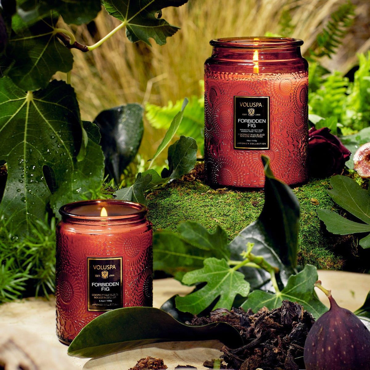 Decorative Candle, Forbidden Fig Small Jar for Entryways, Mantels and Everyday Home Ambience image 4