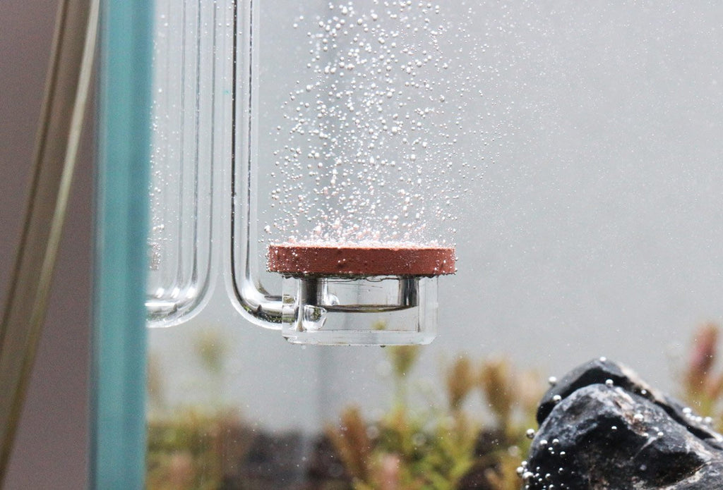 Aquario Neo CO2 Diffuser - Extended Special image 4