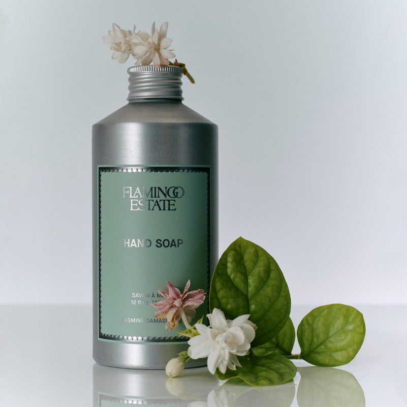 Indoor House Plant, Jasmine Damask Rose Hand Soap for Windowsills, Home Offices and Indoor Decor image 4