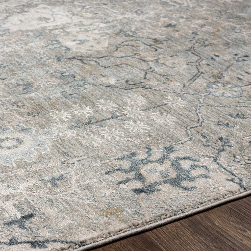 Area Rug, Brunswick BWK 2316 for Living Rooms, Bedrooms and Entryways, 14 Size Options, Designed for Hallways, Dining Spaces and Home Decor image 4