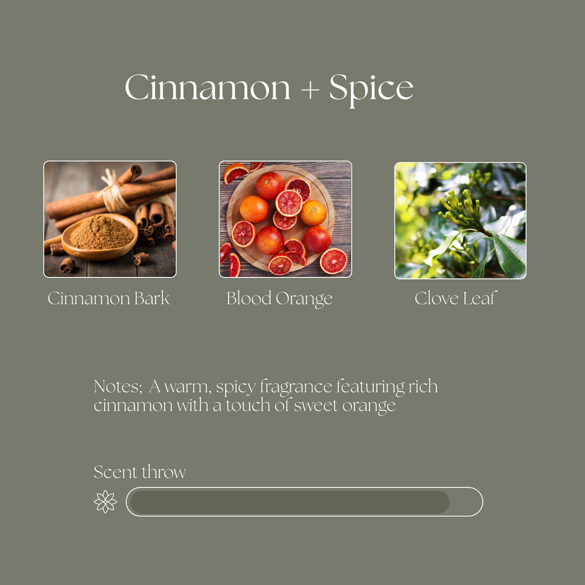 Decorative Candle, Cinnamon and Spice Beeswax for Living Rooms, Bedrooms and Relaxing Evenings, 2 Size Options image 4