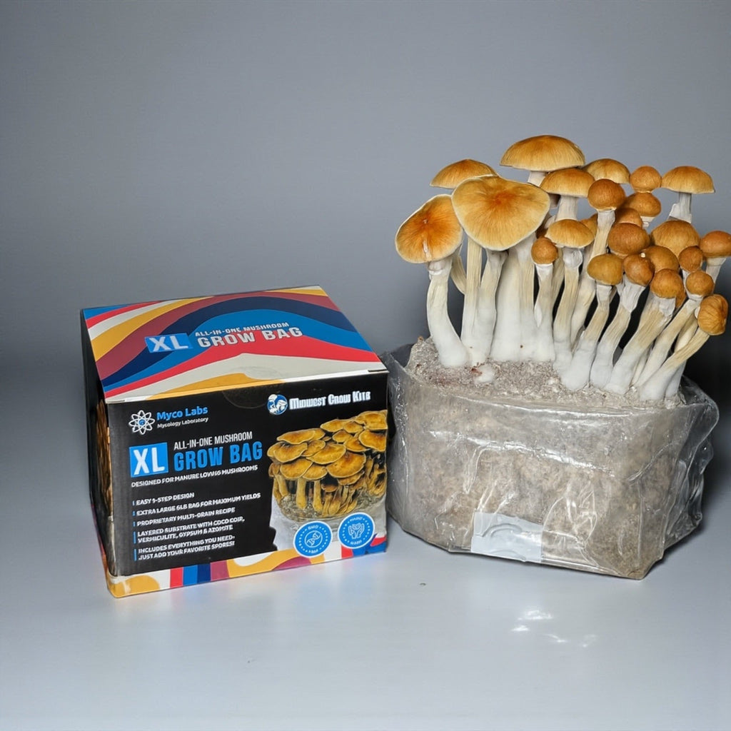 Wholesale All-in-One Mushroom XL Grow Bags (6 lbs) for Manure Loving Mushrooms (Case of 8) image 5