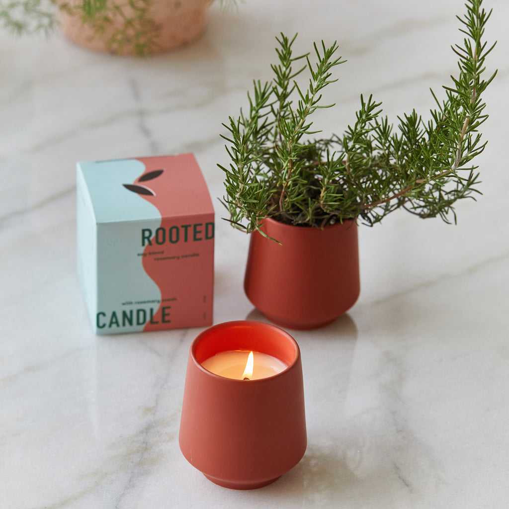 Decorative Candle, Rooted Candles for Living Rooms, Bedrooms and Relaxing Evenings, 4 Plant Type Options image 5