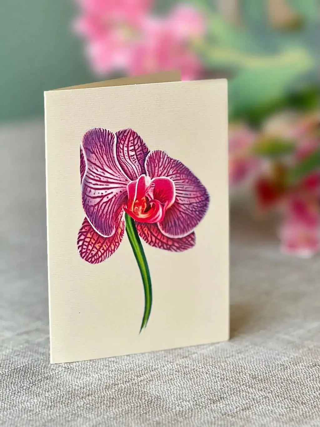 Indoor House Plant, Orchid Oasis for Shelves, Desks and Living Spaces, Designed for Windowsills, Home Offices and Indoor Decor image 5