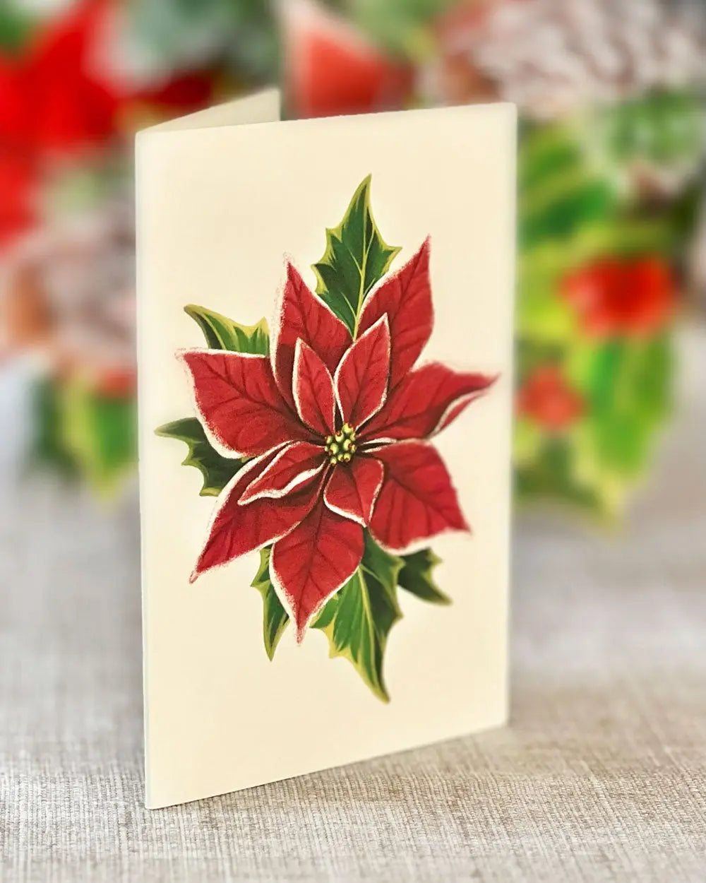 Indoor House Plant, Birch Poinsettia for Windowsills, Home Offices and Indoor Decor, Designed for Shelves, Desks and Living Spaces image 5