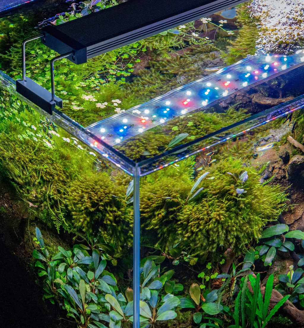 Aquarium LED Light, B Line Fixture, Lightweight Design, Adjustable Design for Freshwater Aquariums and Planted Tank Displays, 7 Size Options image 5