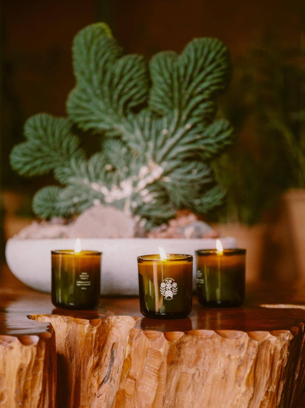Decorative Candle, Three Brothers Set for Living Rooms, Bedrooms and Relaxing Evenings, Designed for Everyday Home Use image 5