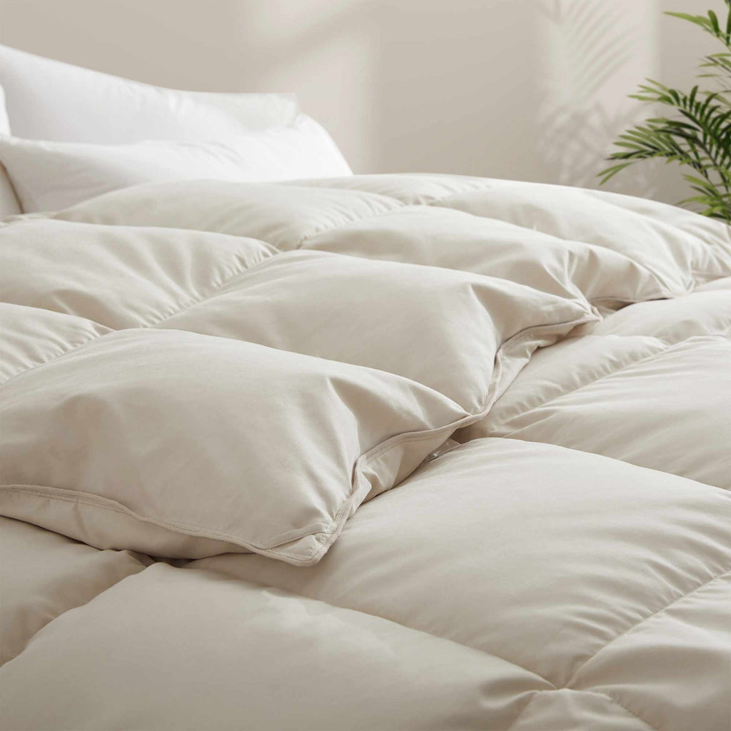 Down & Feather Comforter, Goose, Lightweight Design, Machine-Washable Care for Everyday Bedding and Comfortable Sleep, 4 Sizes and 8 Colors image 5
