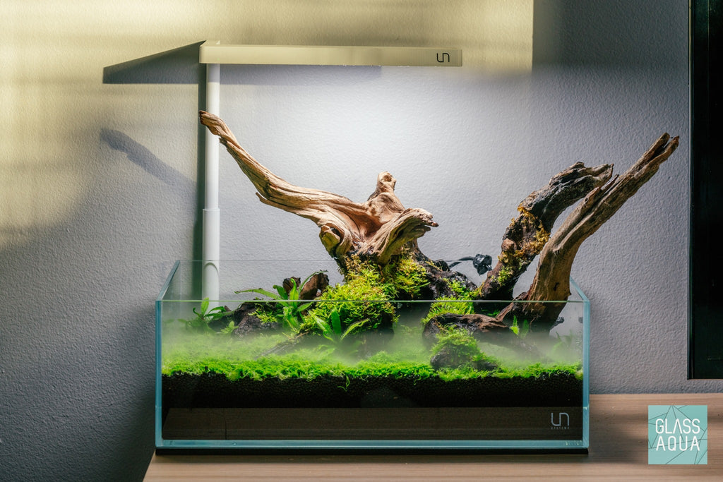 Rimless Glass Aquarium, UNS Shallow, Silicone Construction, Rimless Tank Compatible for Planted Tanks, Shrimp Habitats and Aquascaping image 5