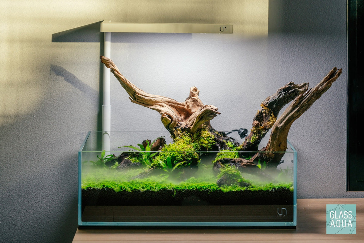 Rimless Glass Aquarium, UNS Shallow, Silicone Construction, Rimless Tank Compatible for Planted Tanks, Shrimp Habitats and Aquascaping image 5
