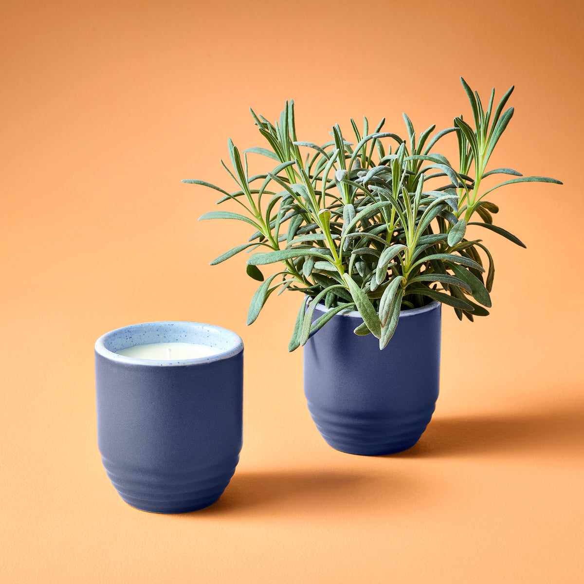 Decorative Candle, Garden Vibes Planter 2 in 1 for Entryways, Mantels and Everyday Home Ambience, 6 Plant Type Options image 6
