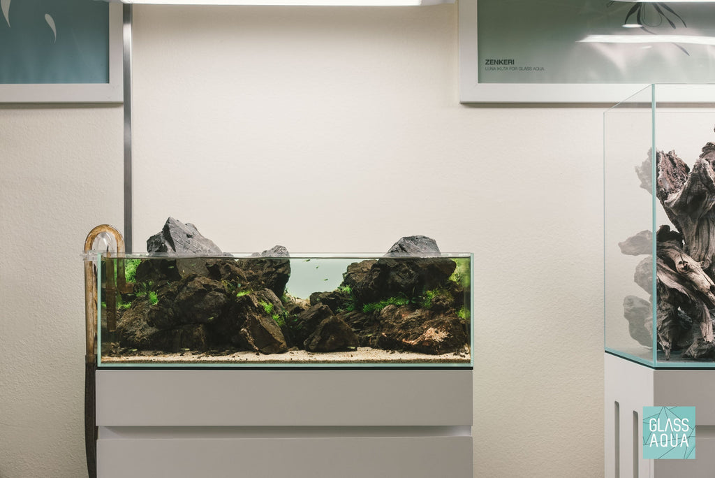 Rimless Glass Aquarium, UNS Shallow, Silicone Construction, Rimless Tank Compatible for Planted Tanks, Shrimp Habitats and Aquascaping image 6