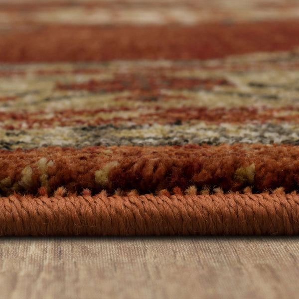 Area Rug, Spice Market Vasco for Hallways, Dining Spaces and Home Decor, 2 Size Options, Designed for Living Rooms, Bedrooms and Entryways image 6