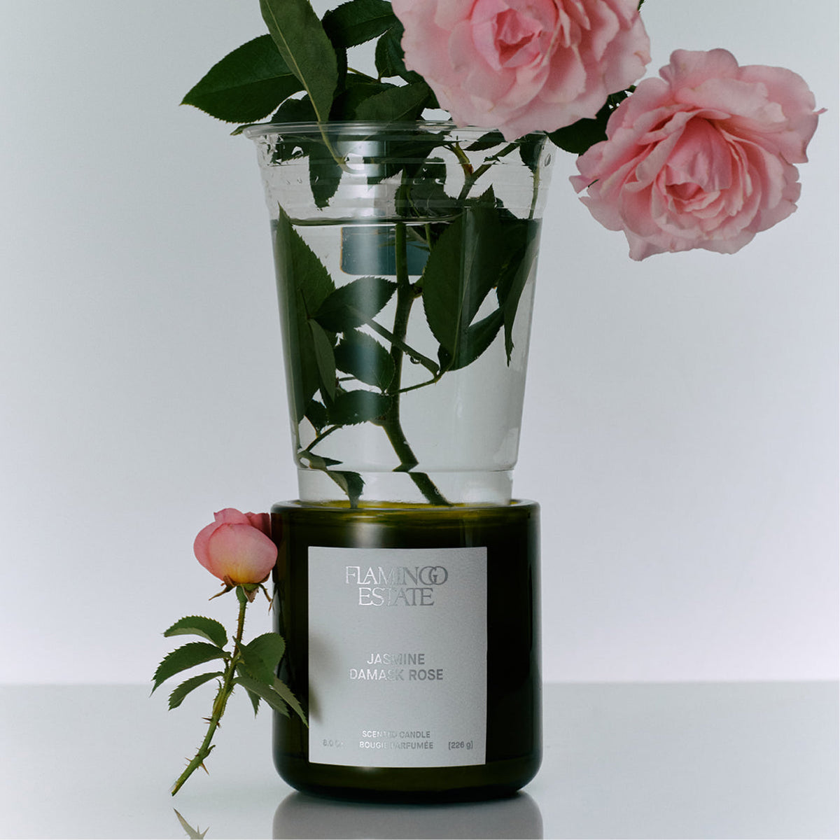 Decorative Candle, Jasmine Damask Rose for Entryways, Mantels and Everyday Home Ambience, Designed for Everyday Home Use image 6