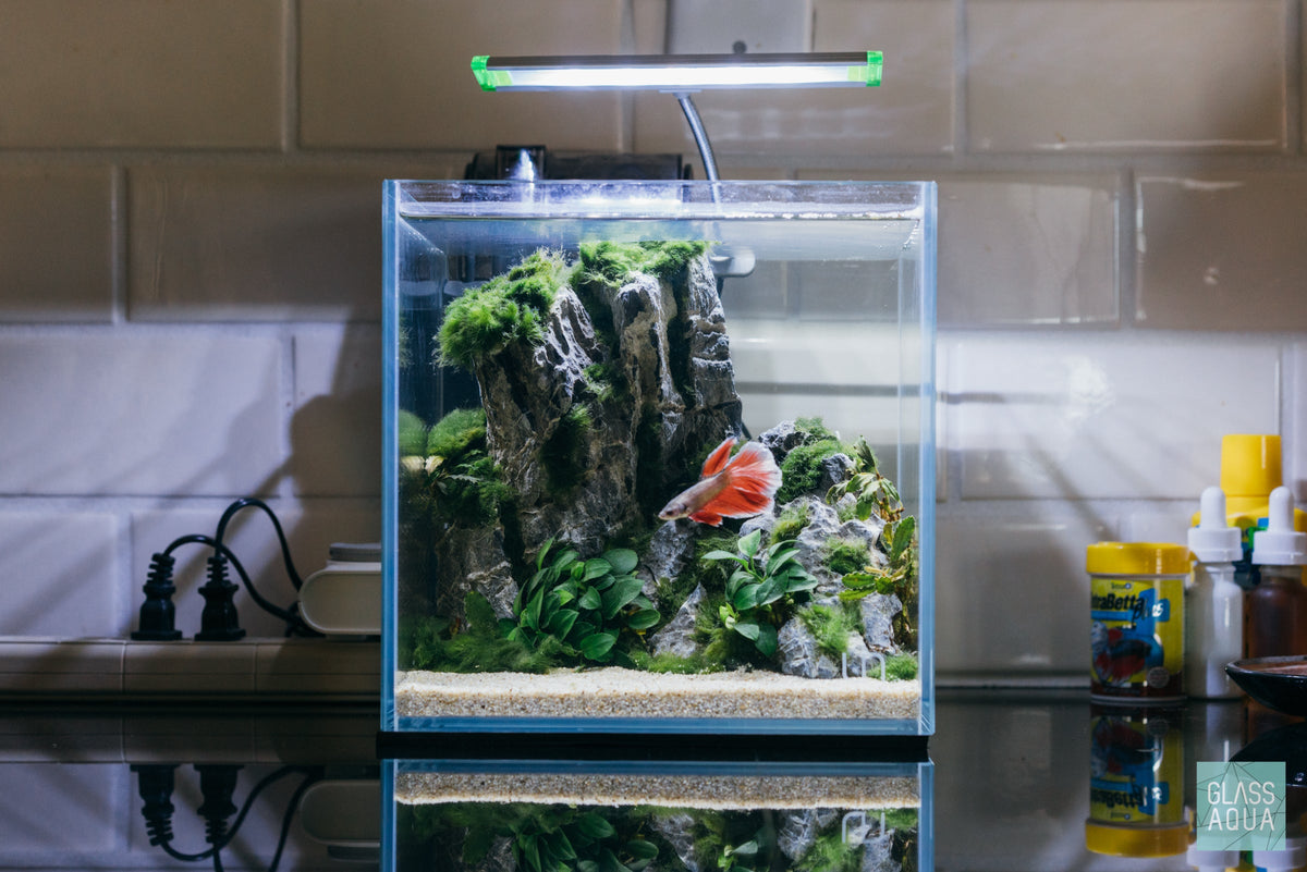 Rimless Glass Aquarium, UNS Cube, Silicone Construction, Rimless Tank Compatible for Planted Tanks, Shrimp Habitats and Aquascaping image 6