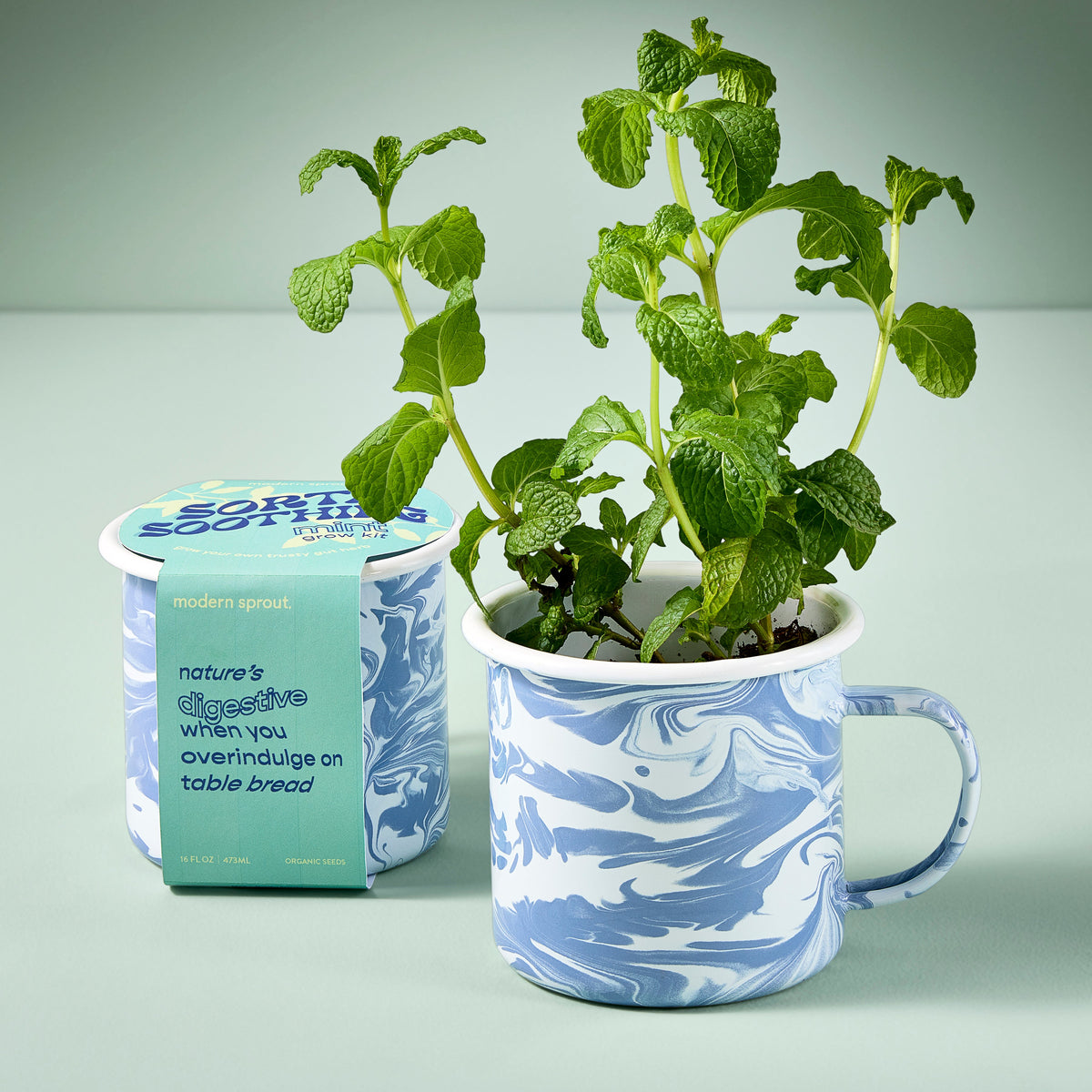 Coffee Mug, Altered Herb Grow Kits for Everyday Drinks, Home and Entertaining, Designed for Kitchen Tables, Workspaces and Daily Hydration image 6