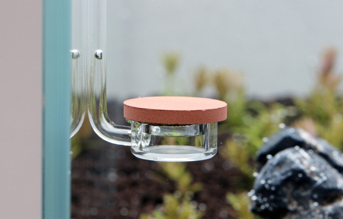 Aquario Neo CO2 Diffuser - Extended Special image 6