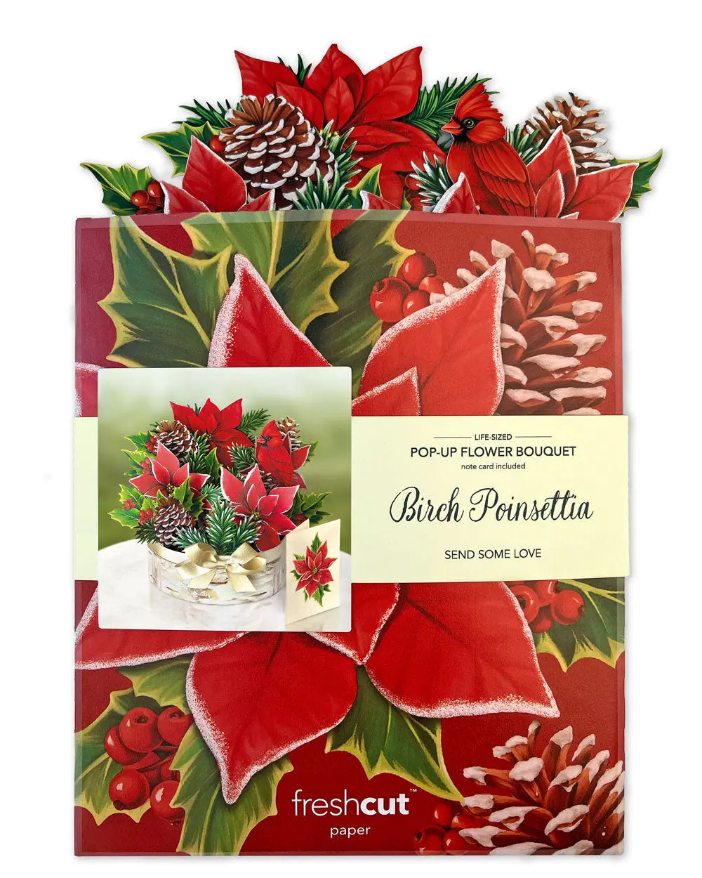 Indoor House Plant, Birch Poinsettia for Windowsills, Home Offices and Indoor Decor, Designed for Shelves, Desks and Living Spaces image 6