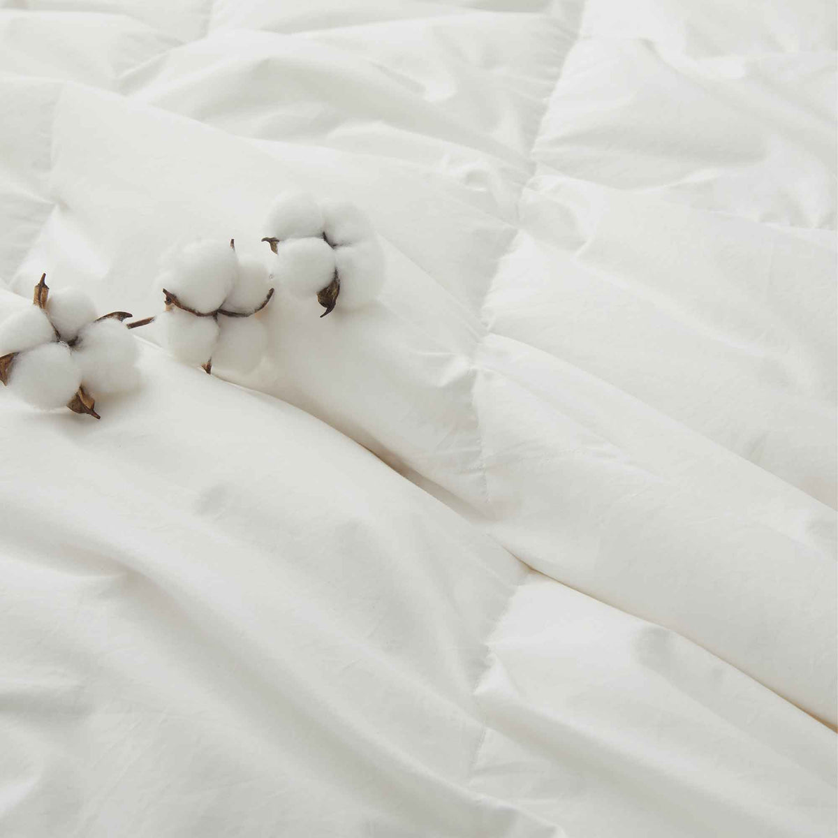 Down Comforter, Organic Cotton, Lightweight Design for Everyday Bedding and Comfortable Sleep, 4 Size Options image 6