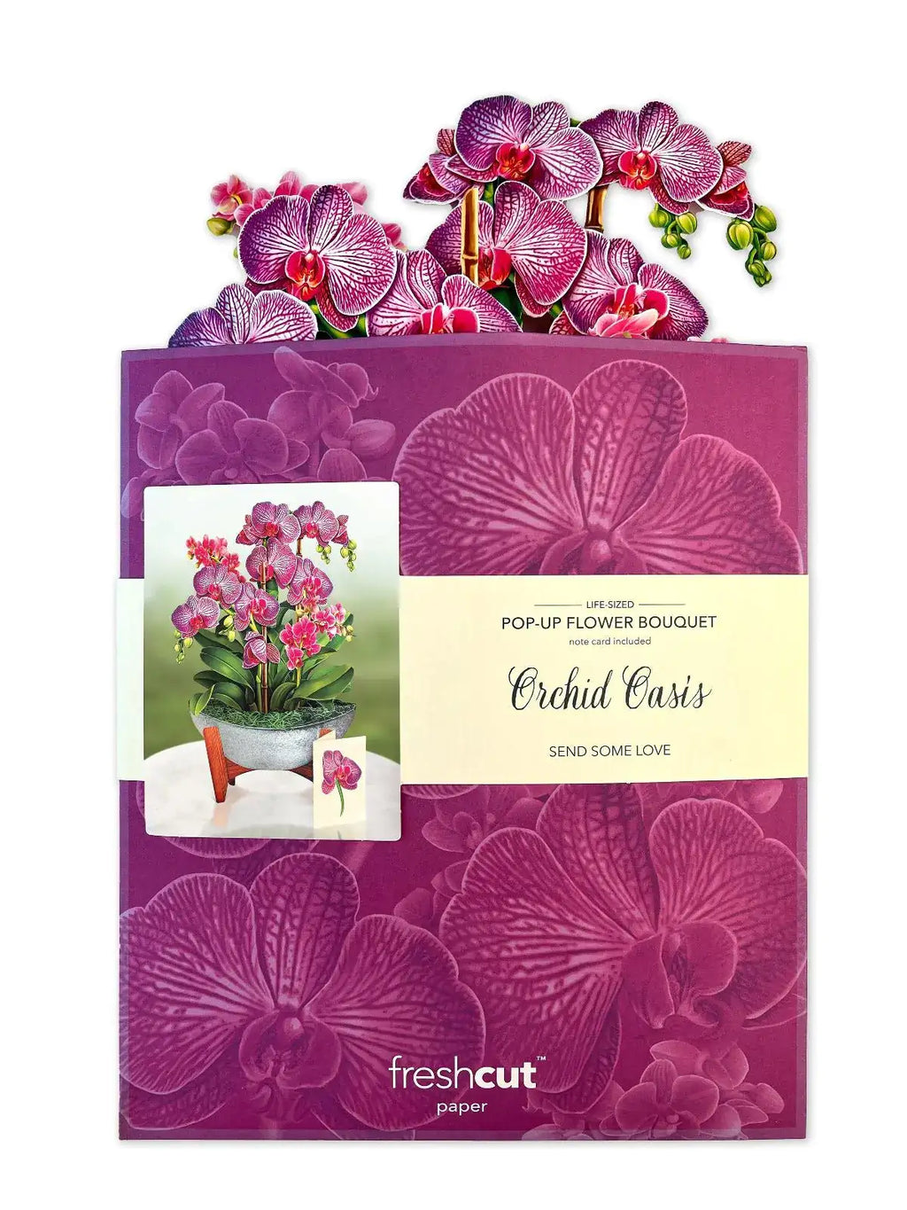 Indoor House Plant, Orchid Oasis for Shelves, Desks and Living Spaces, Designed for Windowsills, Home Offices and Indoor Decor image 6