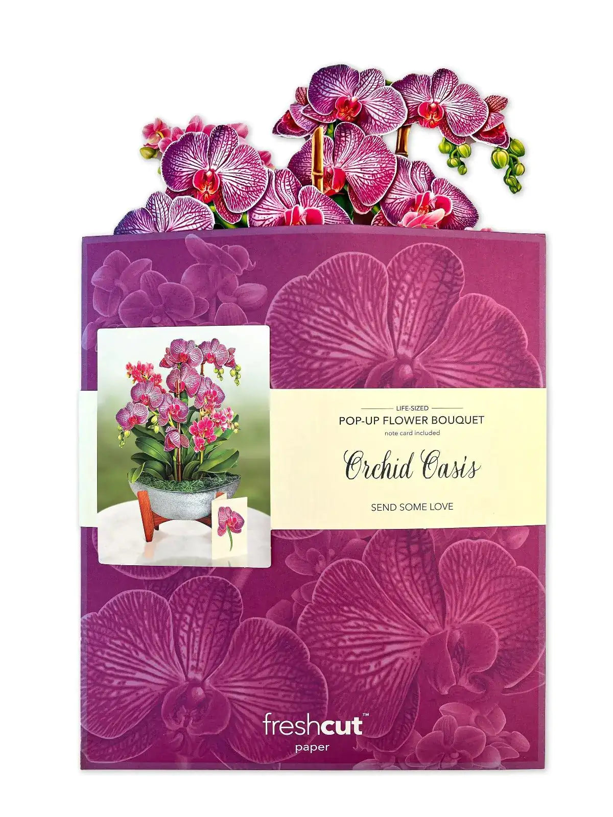 Indoor House Plant, Orchid Oasis for Shelves, Desks and Living Spaces, Designed for Windowsills, Home Offices and Indoor Decor image 6