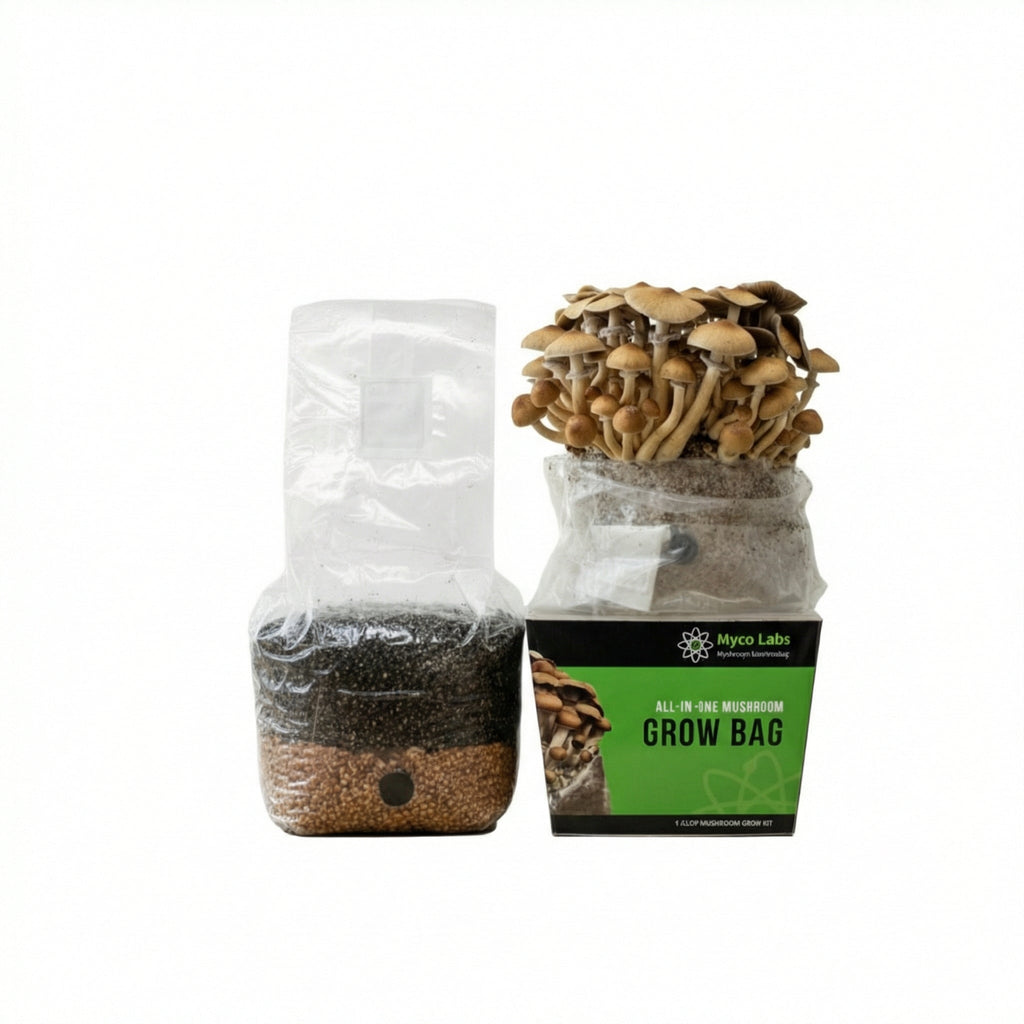 Mushroom Grow Bag, All in One (4 lbs) for Manure Loving Mushrooms for Home Mushroom Growing and Controlled Cultivation image 7