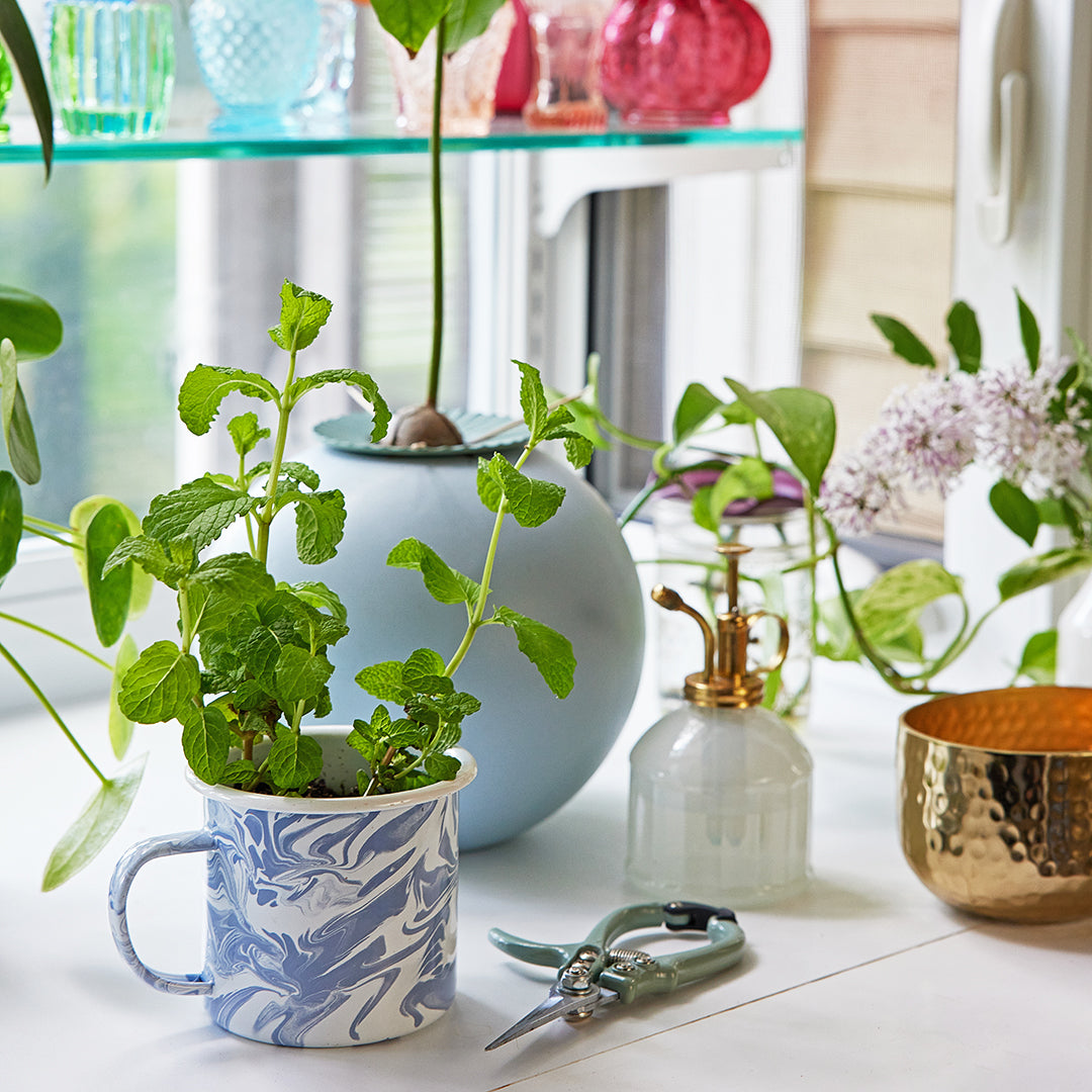 Coffee Mug, Altered Herb Grow Kits for Everyday Drinks, Home and Entertaining, Designed for Kitchen Tables, Workspaces and Daily Hydration image 7