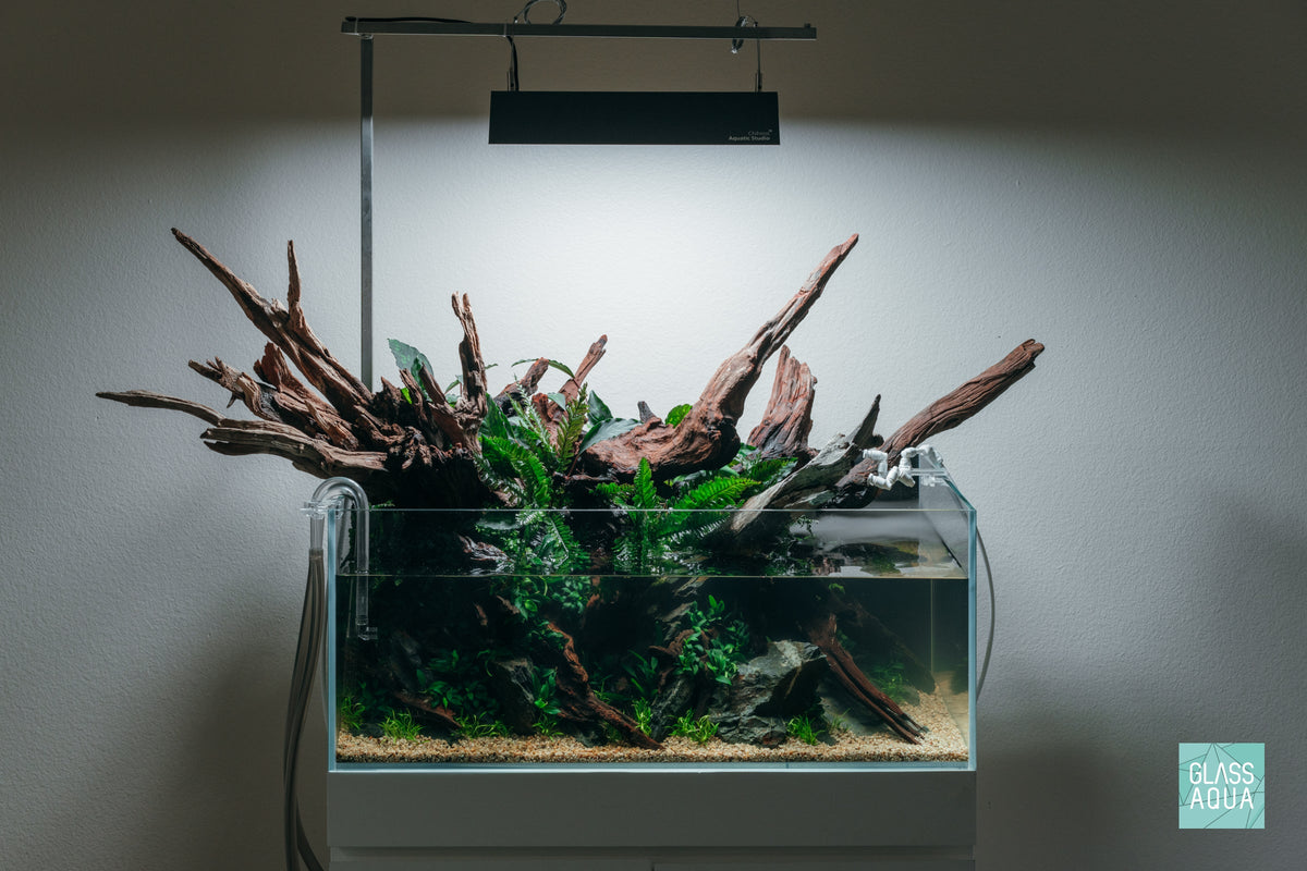 Rimless Glass Aquarium, UNS Shallow, Silicone Construction, Rimless Tank Compatible for Planted Tanks, Shrimp Habitats and Aquascaping image 7
