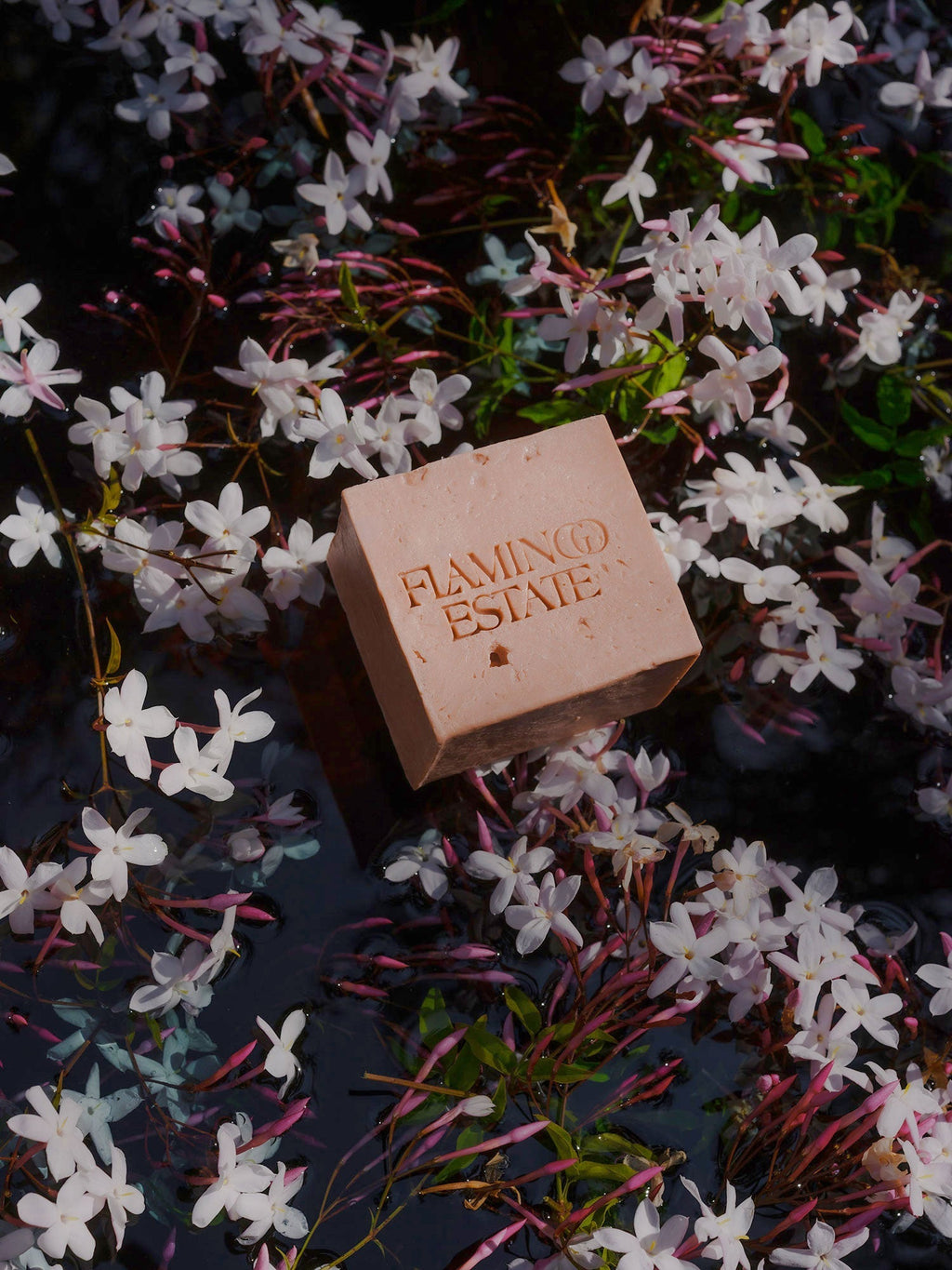 Indoor House Plant, Jasmine Damask Rose Soap Brick for Shelves, Desks and Living Spaces, Designed for Everyday Home Use image 7