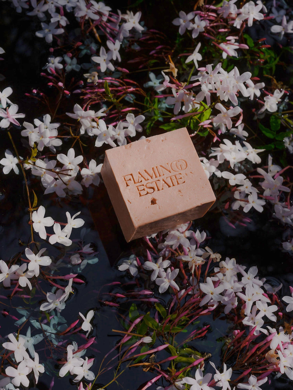 Indoor House Plant, Jasmine Damask Rose Soap Brick for Shelves, Desks and Living Spaces, Designed for Everyday Home Use image 7