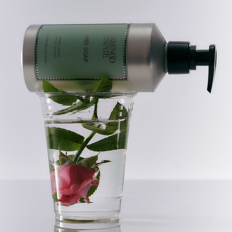 Indoor House Plant, Jasmine Damask Rose Hand Soap for Windowsills, Home Offices and Indoor Decor image 7