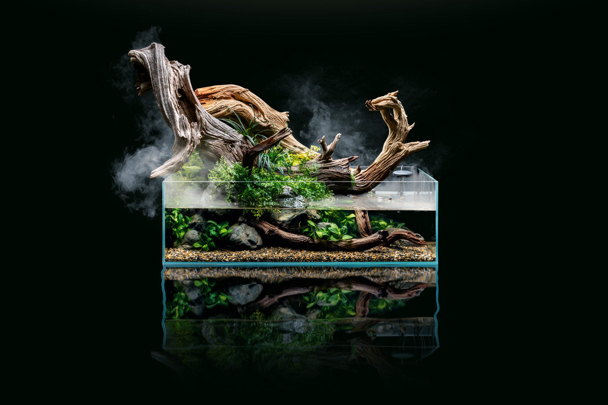 Rimless Glass Aquarium, UNS Shallow, Silicone Construction, Rimless Tank Compatible for Planted Tanks, Shrimp Habitats and Aquascaping image 8