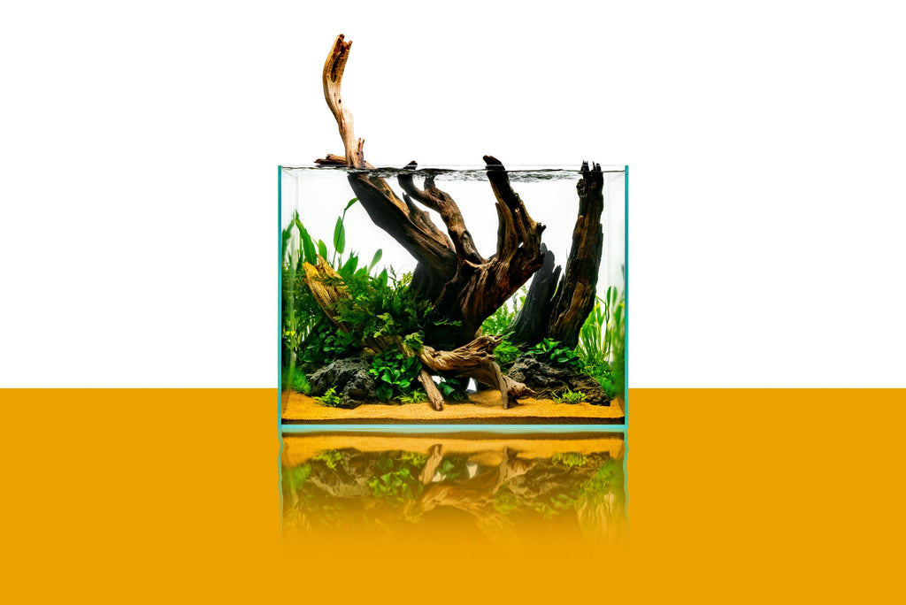 Ultum Nature Systems UNS Rimless Tall Glass 鱼缸 image 8