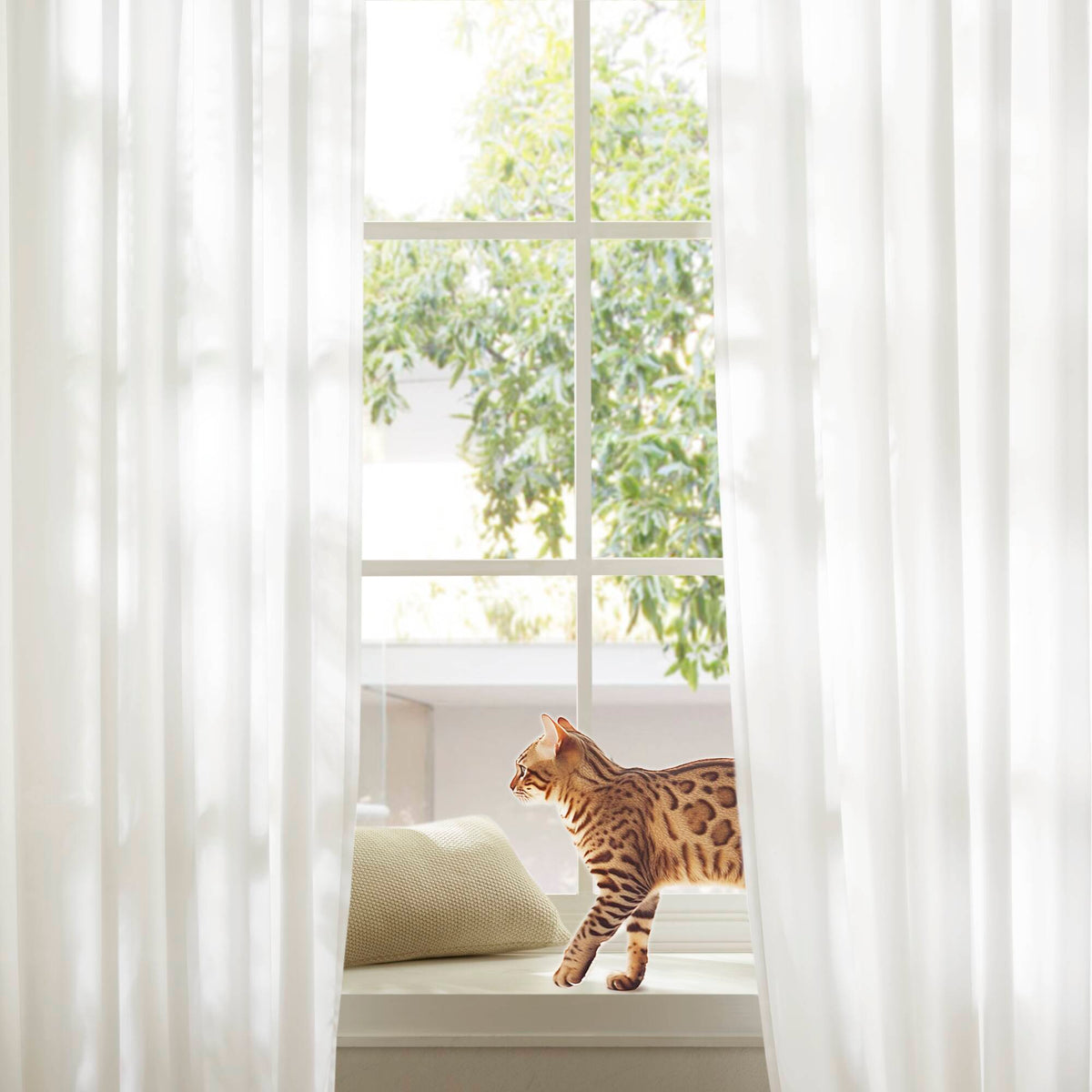 Window Curtain, Lexus Rod Pocket with Back Tab Privacy Pair, Lightweight Design for Windows, Room Styling and Everyday Privacy image 8
