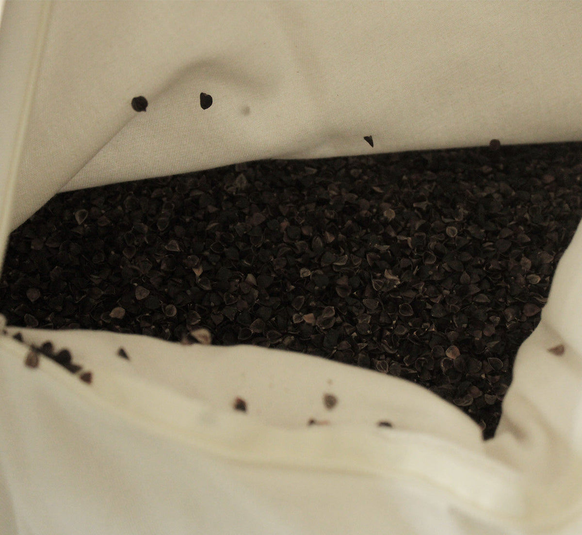 Bed Pillow, Hybrid : Natural Wool & Buckwheat, Organic Cotton Shell, Breathable Construction for Sleeping, Reading and Bedroom Comfort image 8