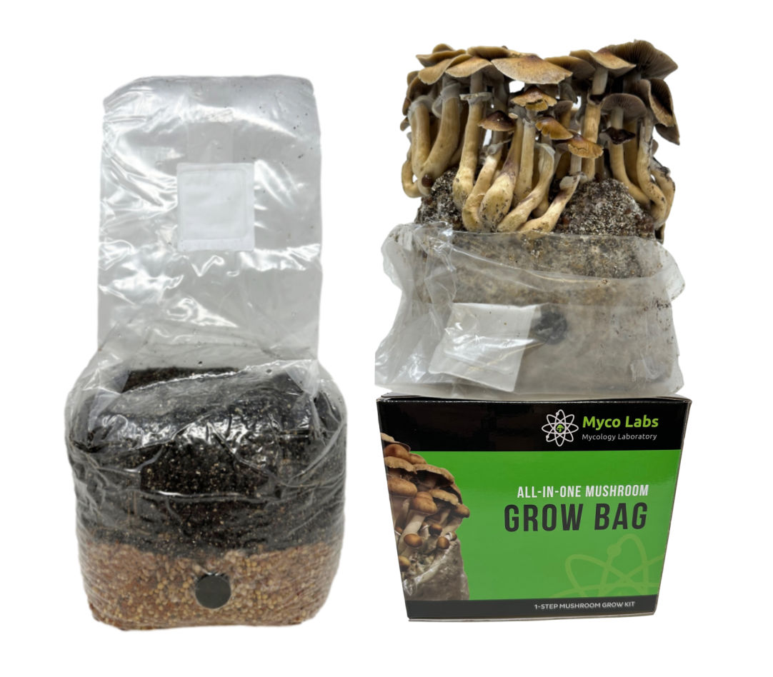 Mushroom Grow Bag, All in One (4 lbs) for Manure Loving Mushrooms for Home Mushroom Growing and Controlled Cultivation image 8