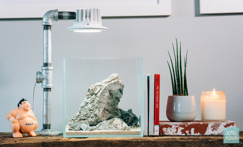 Rimless Glass Aquarium, UNS Cube, Silicone Construction, Rimless Tank Compatible for Planted Tanks, Shrimp Habitats and Aquascaping image 8