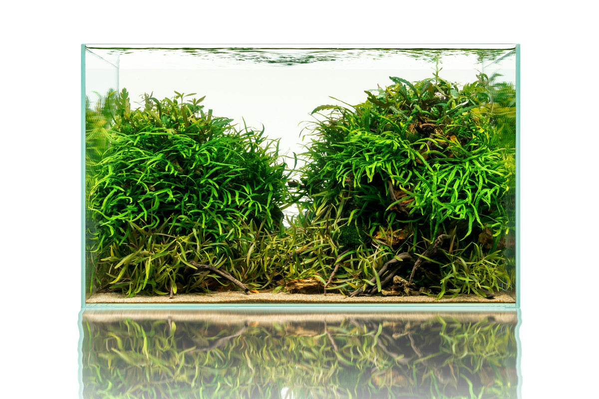 Rimless Glass Aquarium, UNS Standard, Silicone Construction, Rimless Tank Compatible for Planted Tanks, Shrimp Habitats and Aquascaping image 8