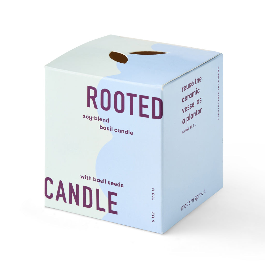 Decorative Candle, Rooted Candles for Living Rooms, Bedrooms and Relaxing Evenings, 4 Plant Type Options image 9
