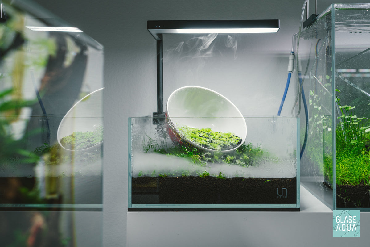 Rimless Glass Aquarium, UNS Shallow, Silicone Construction, Rimless Tank Compatible for Planted Tanks, Shrimp Habitats and Aquascaping image 9