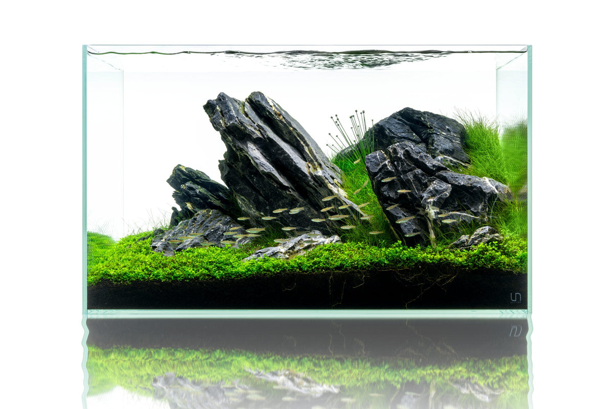 Rimless Glass Aquarium, UNS Standard, Silicone Construction, Rimless Tank Compatible for Planted Tanks, Shrimp Habitats and Aquascaping image 9