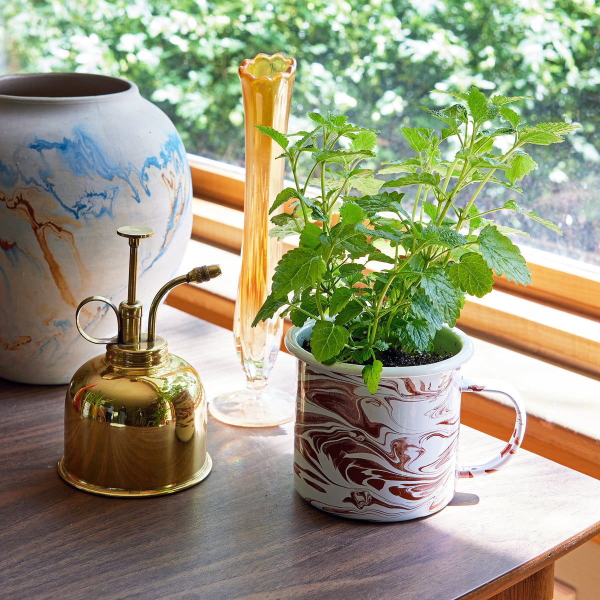 Coffee Mug, Altered Herb Grow Kits for Everyday Drinks, Home and Entertaining, Designed for Kitchen Tables, Workspaces and Daily Hydration image 9
