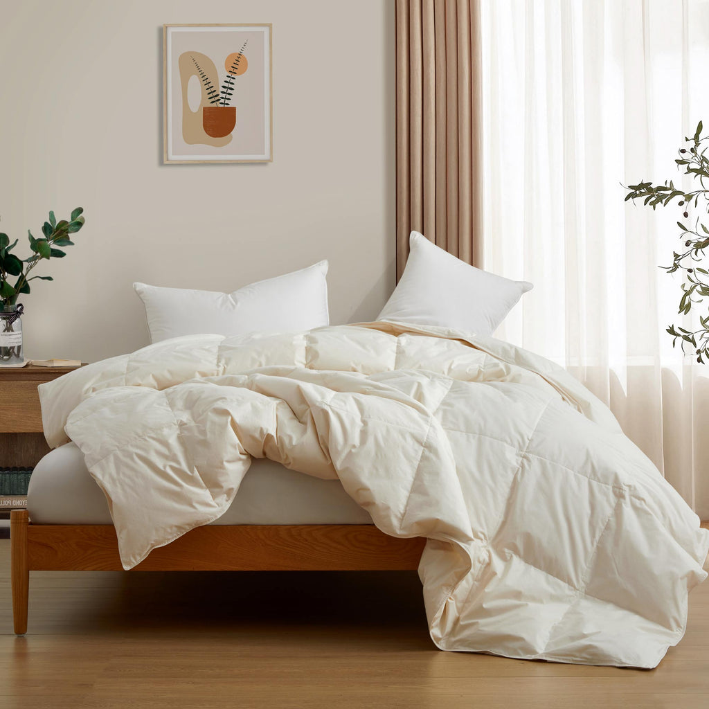 Down & Feather Comforter, Lightweight Organic Cotton for Everyday Bedding and Comfortable Sleep, 3 Sizes and 3 Colors image 10