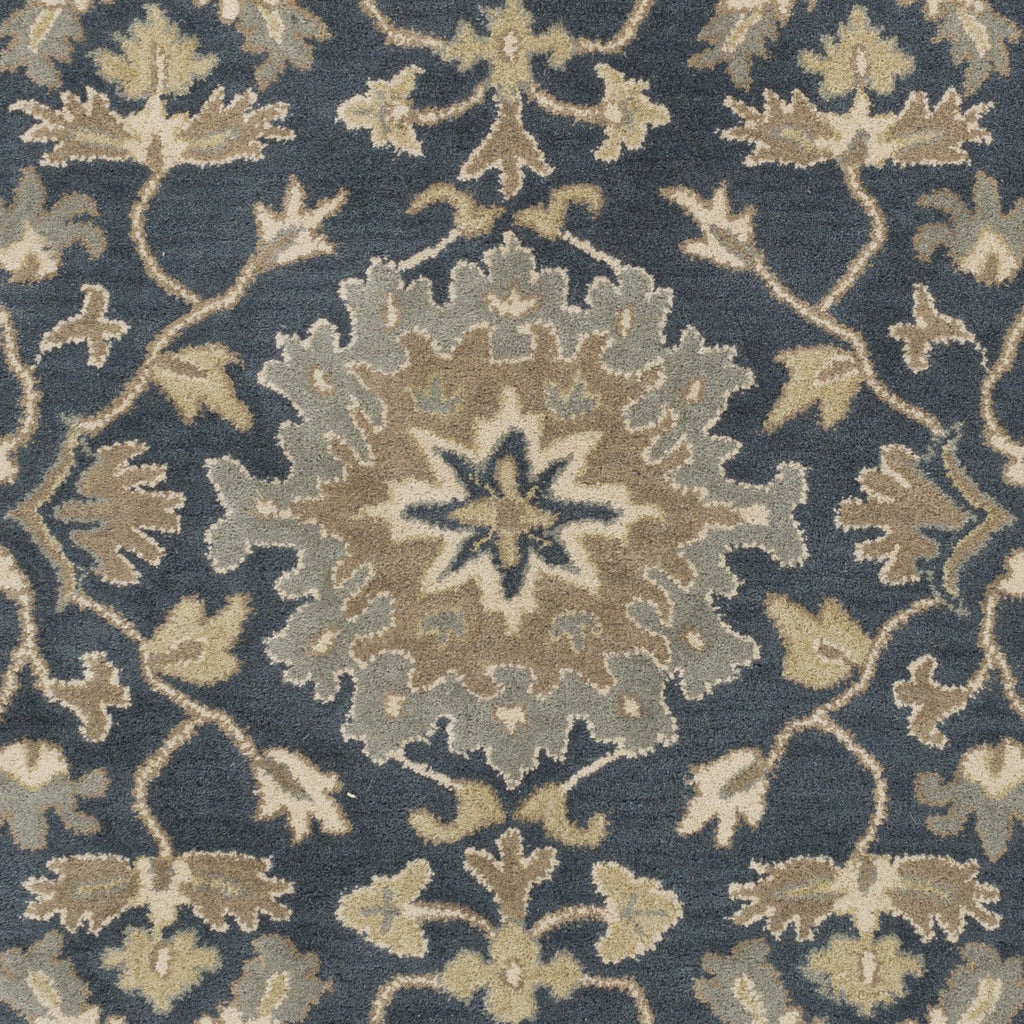 Area Rug, Caesar CAE 1154 for Hallways, Dining Spaces and Home Decor, 25 Size Options, Designed for Living Rooms, Bedrooms and Entryways image 10
