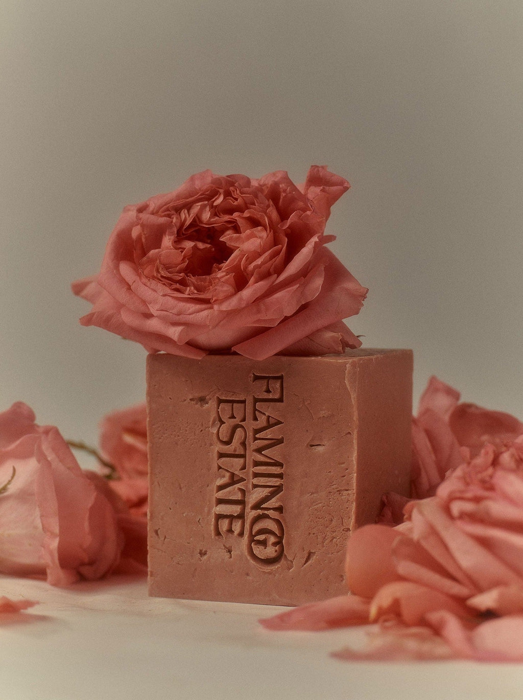Indoor House Plant, Jasmine Damask Rose Soap Brick for Shelves, Desks and Living Spaces, Designed for Everyday Home Use image 10